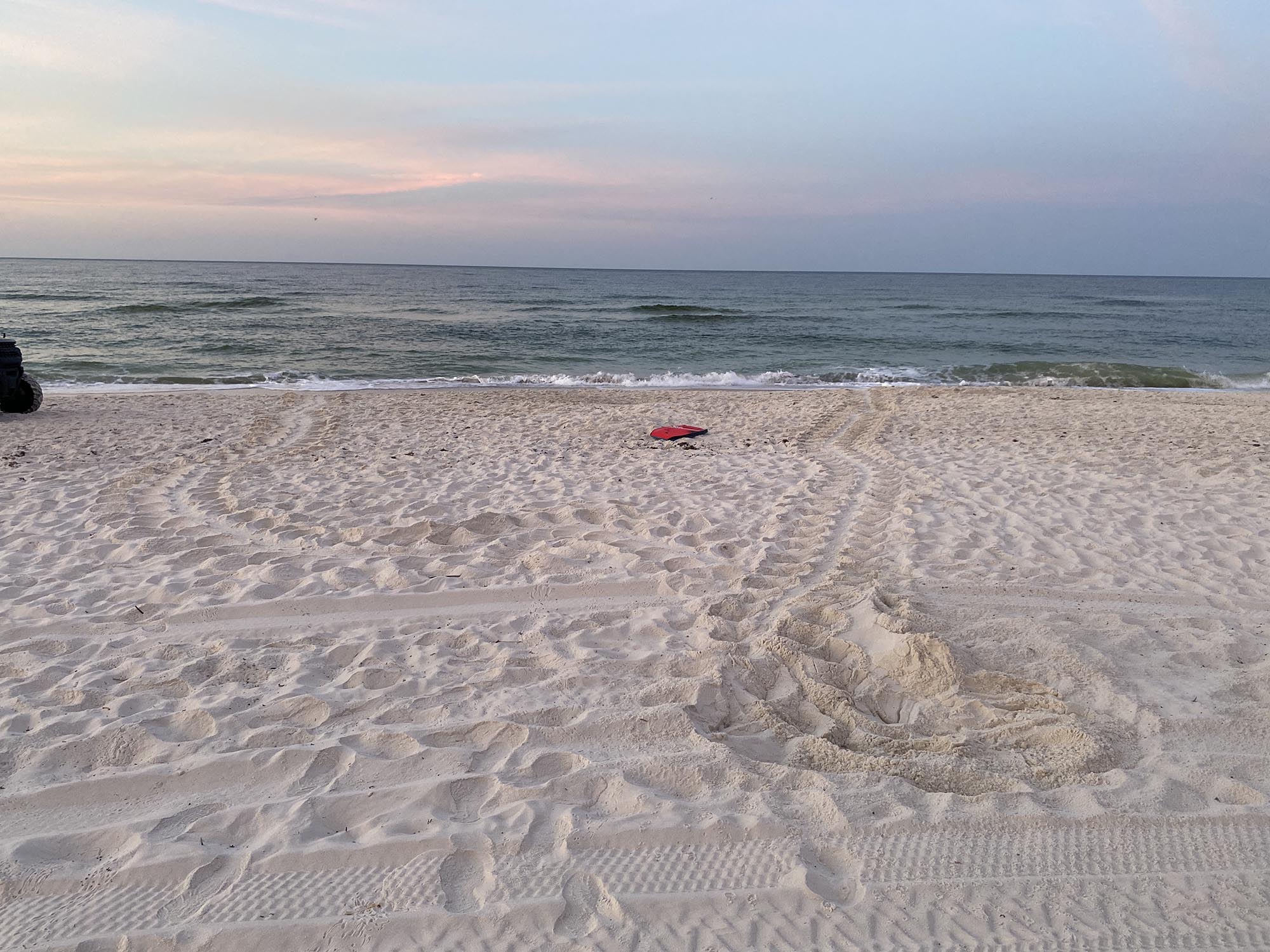 Sea Turtle Nest on Perdido Key