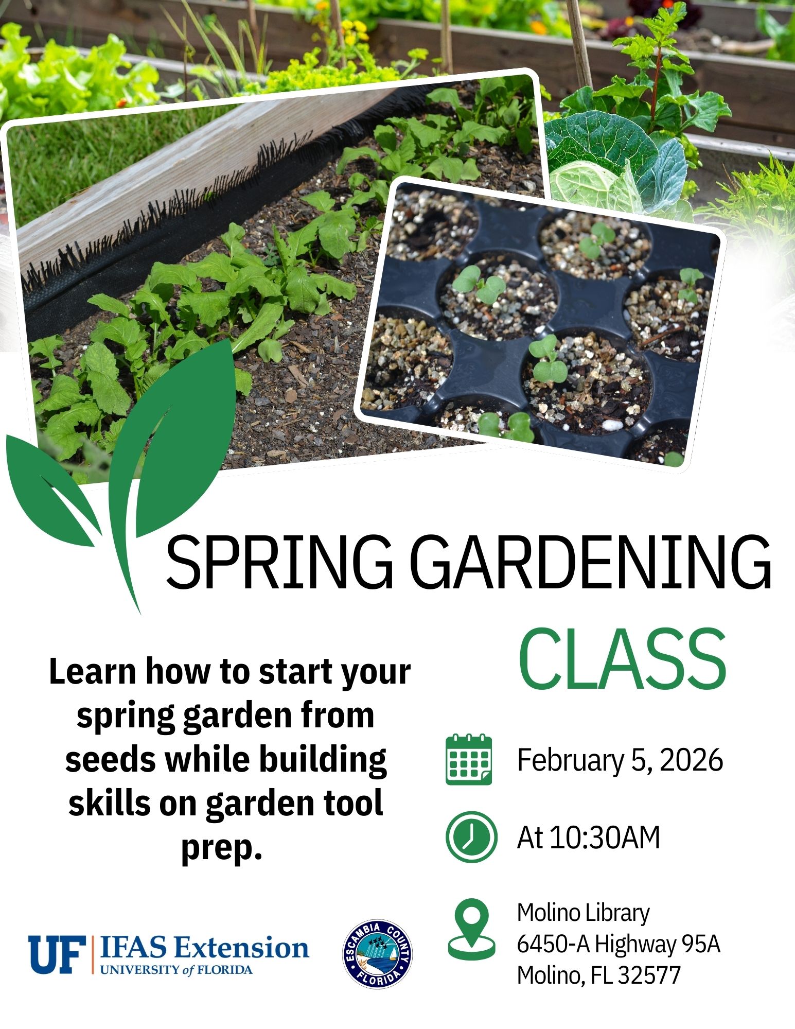 Spring Garden Class Flyer
