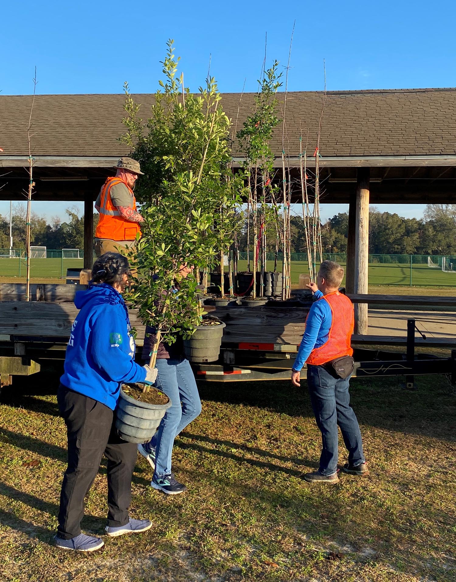 Staff planting trees at county property
