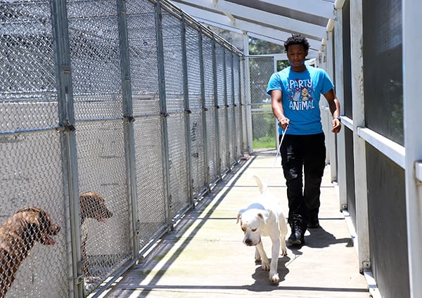 Summer Youth Employment Program Interns