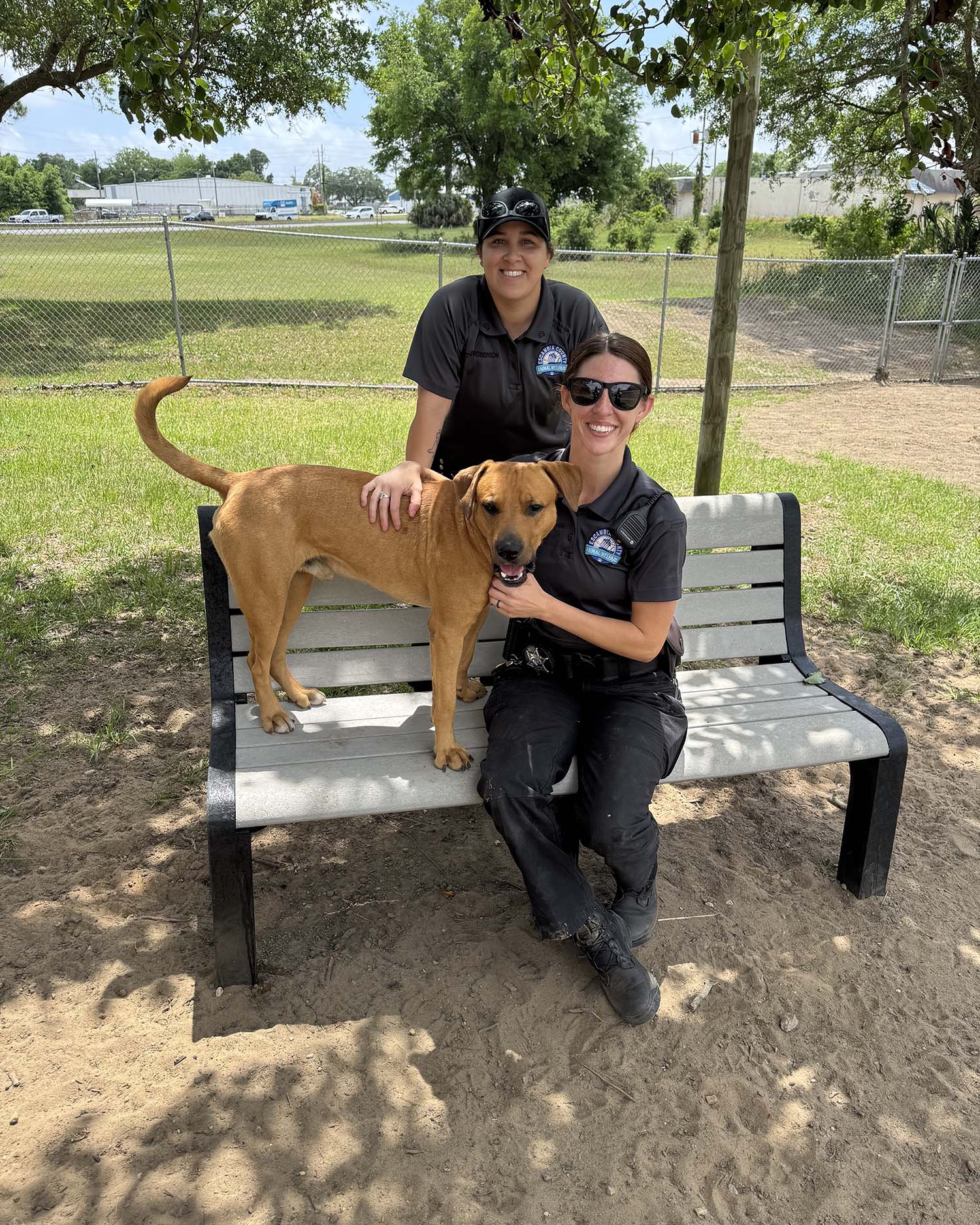 Tupac with Animal Welfare Officers Tupac with Animal Welfare Officers