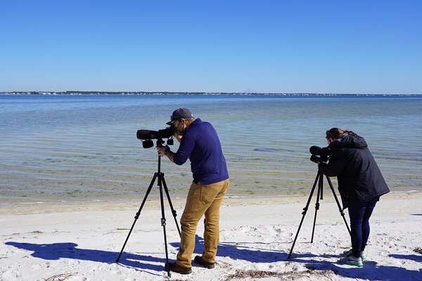 UWF Waterfowl Study_PPBEP photo-sm UWF Waterfowl Study_PPBEP photo-sm