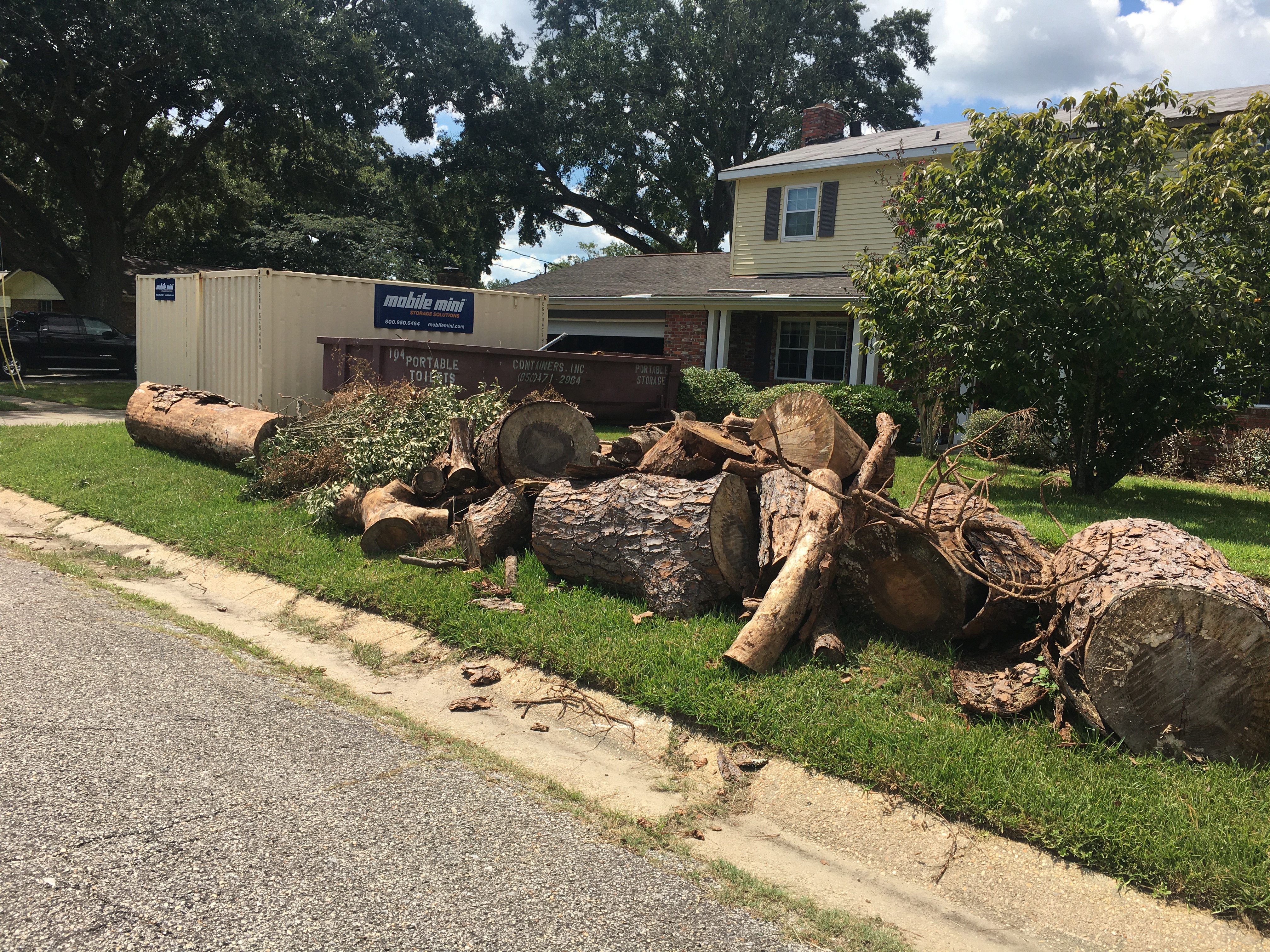 District 3 Oakfield Cleanup