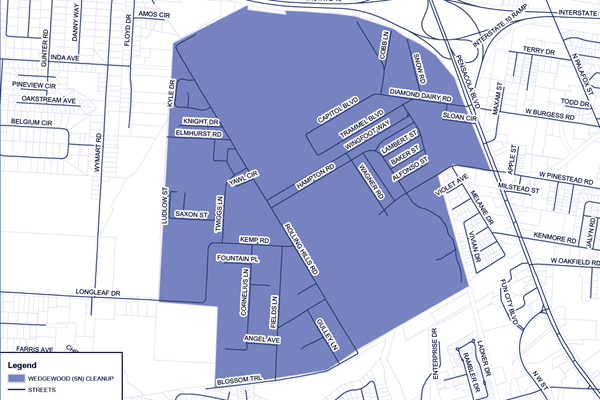 Wedgewood Neighborhood Cleanup