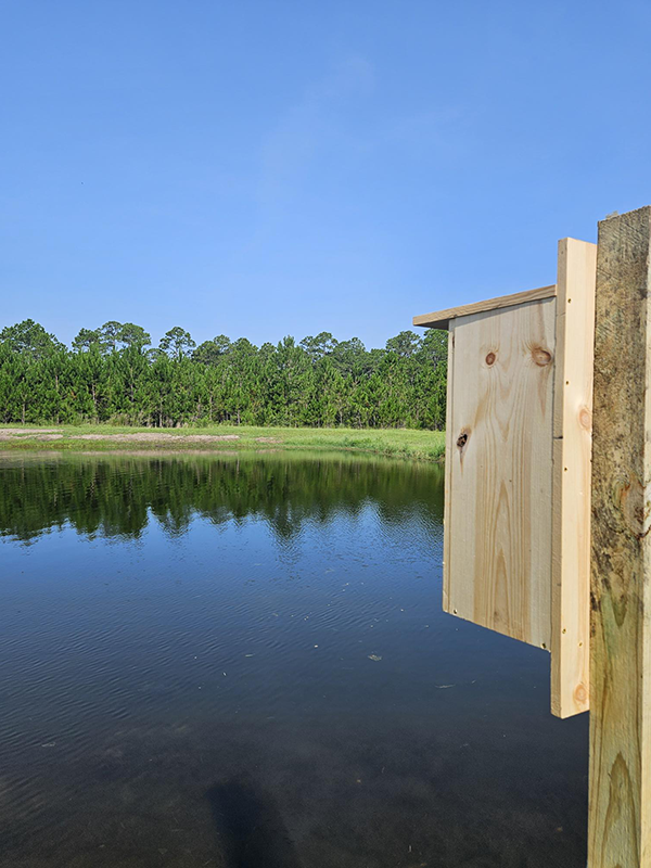 Wood Duck Box SWES