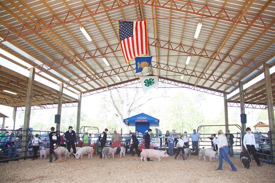 Annual Spring Livestock Show Annual Spring Livestock Show