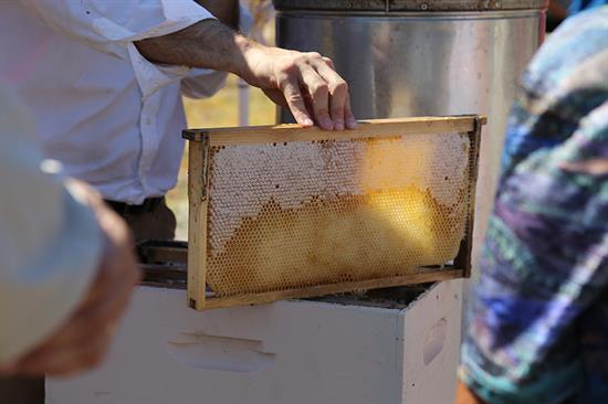 Escarosa Beekeepers Association Farm Tour 2018 Escarosa Beekeepers Association Farm Tour 2018