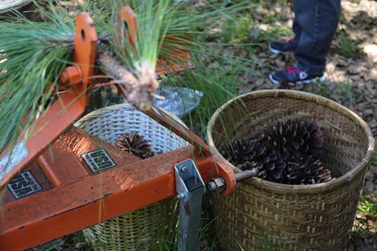 Jenkin's Timber Properties Farm Tour 2018