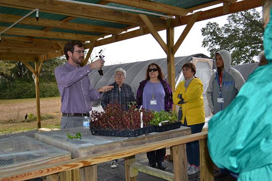 Master Gardener trainees learning plant propagation Master Gardener trainees learning plant propagation
