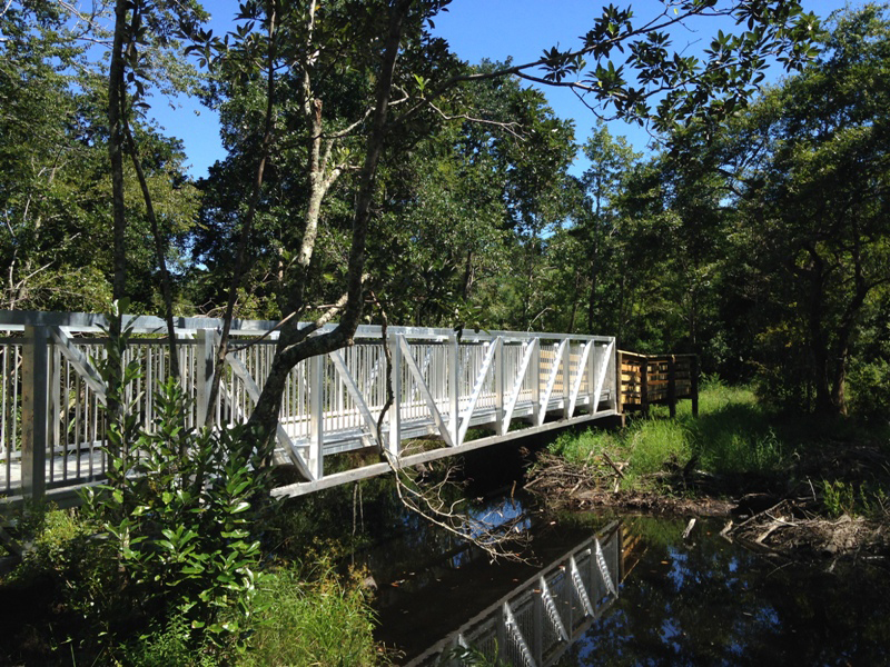 Decatur Boardwalk - Jones Swamp