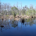 Escambia County Geocaching Tour Photo