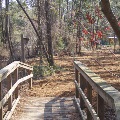 Bridge on Walking Trail of the Escambia County Geocaching Tour