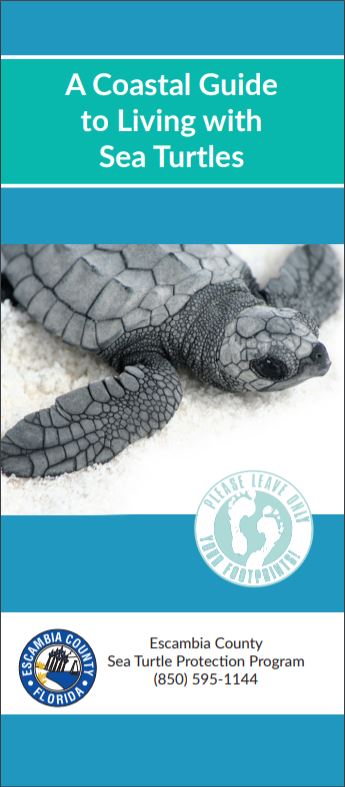 Coastal Guide to Living with Sea Turtles