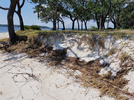 Navy Point Erosion Navy Point Erosion