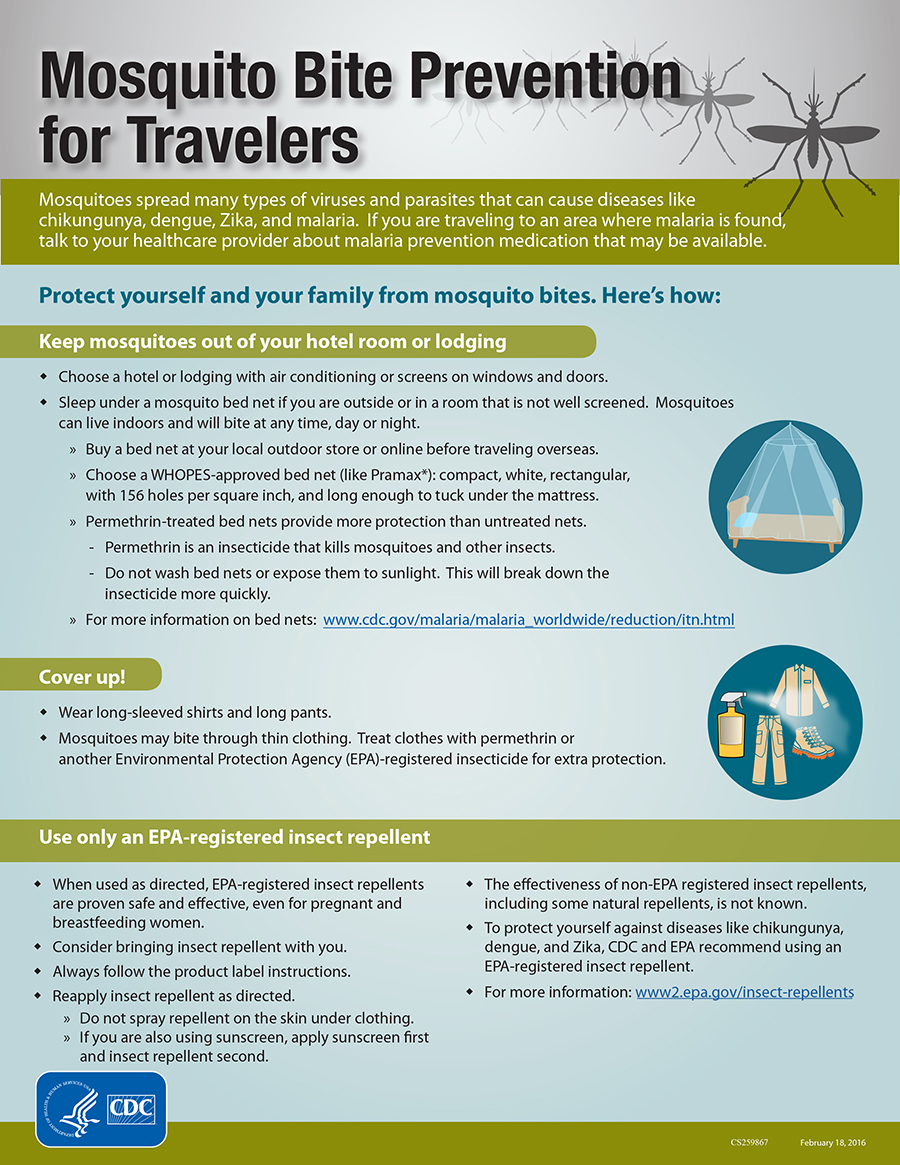 Mosquito Bite Prevention for Travelers 1