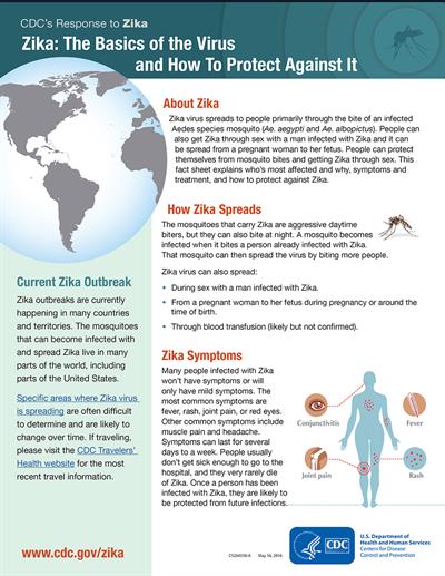 Zika: The Basics of the Virus