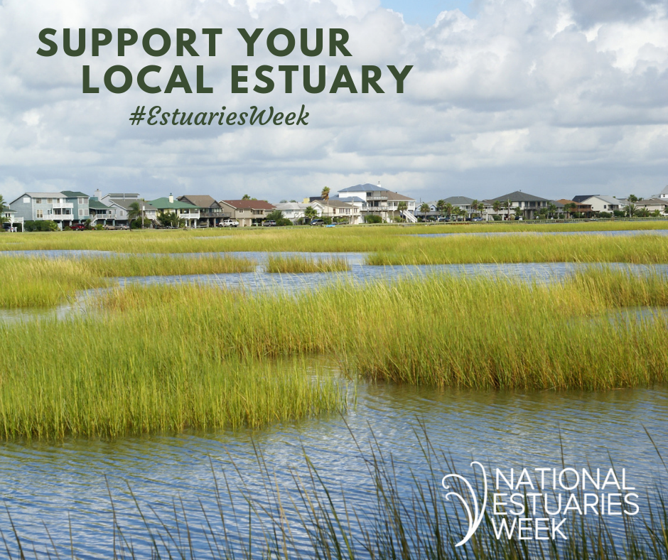 Estuary outside of a neighborhood