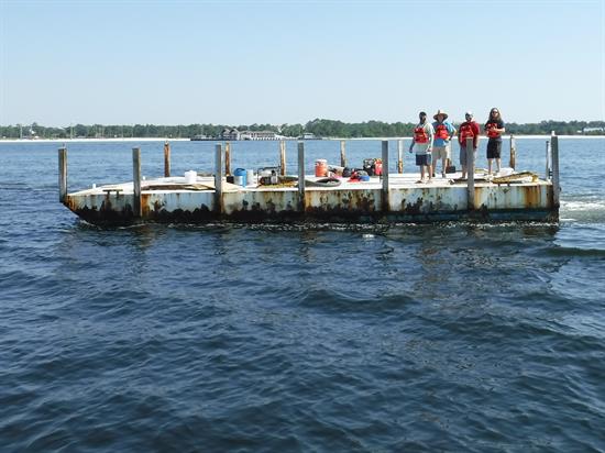 The Steel Argo Reef being deployed in the Gulf of Mexico