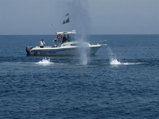 The Steel Argo Reef being deployed in the Gulf of Mexico