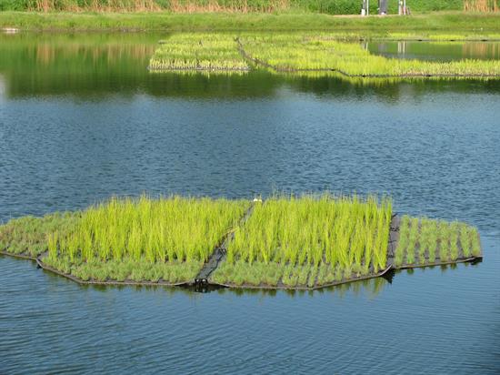 Beemats Beemats similar to the ones that will be used in the floating island installation at Jackson Lakes.