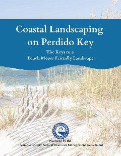 Coastal Landscaping on Perdido Key Brochure Cover