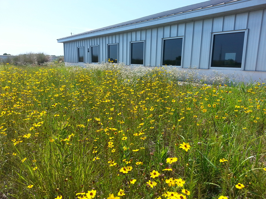 Escambia County Central Office Complex Green Roof