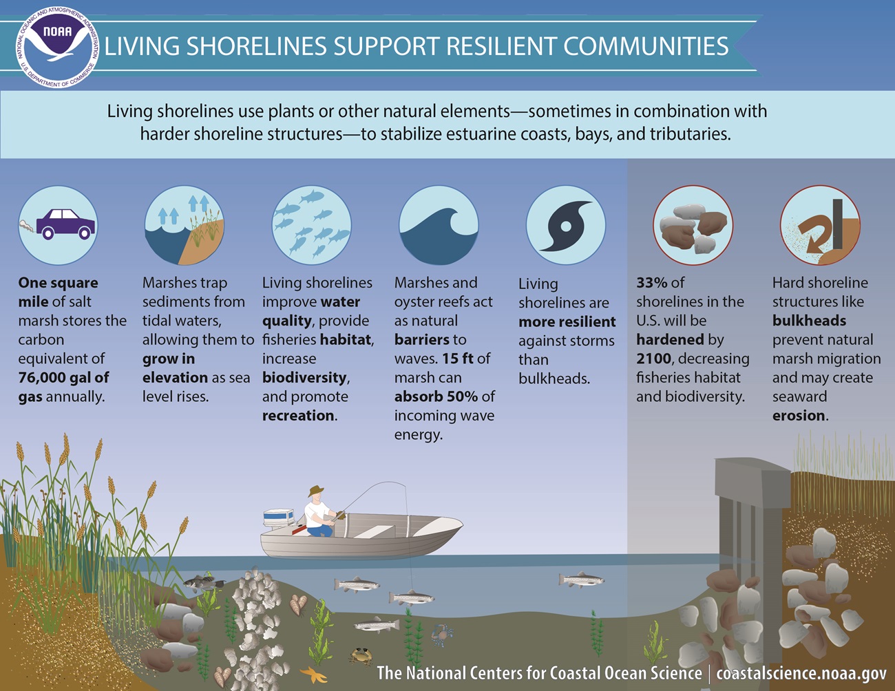 Living Shorelines Support Resilient Communities graphic