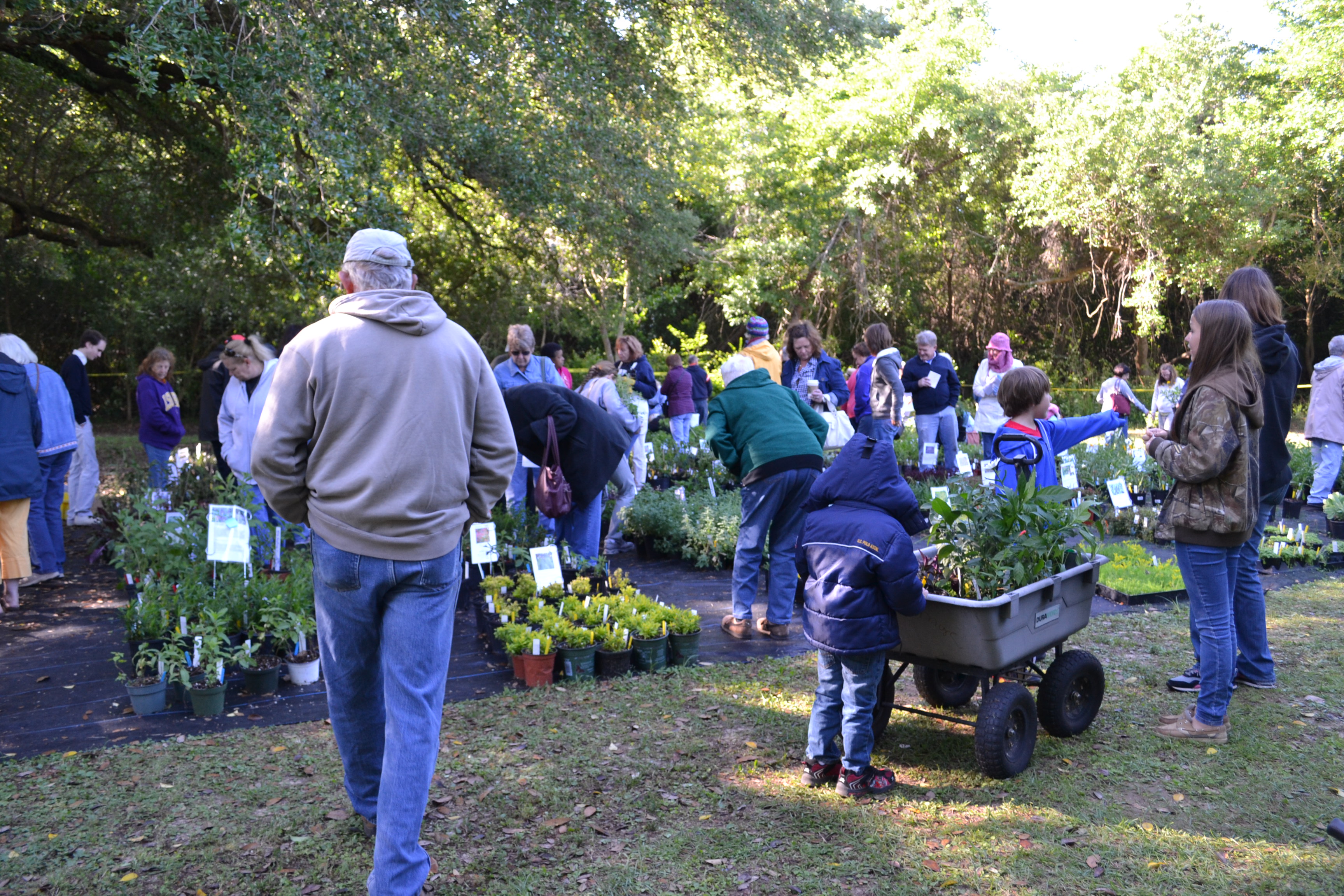 Master Gardener Plant Sale