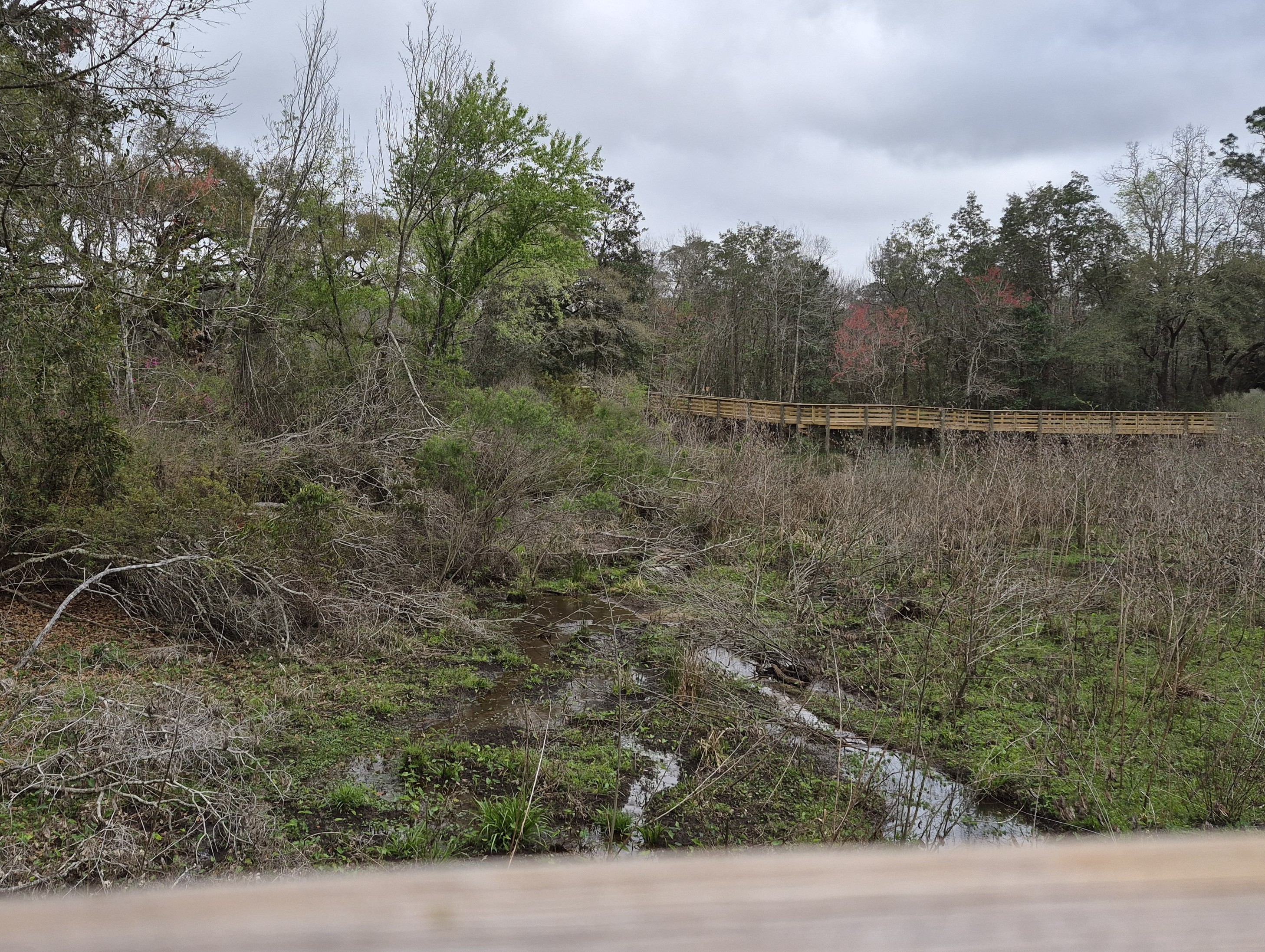 20260305_clean creek mid_crop