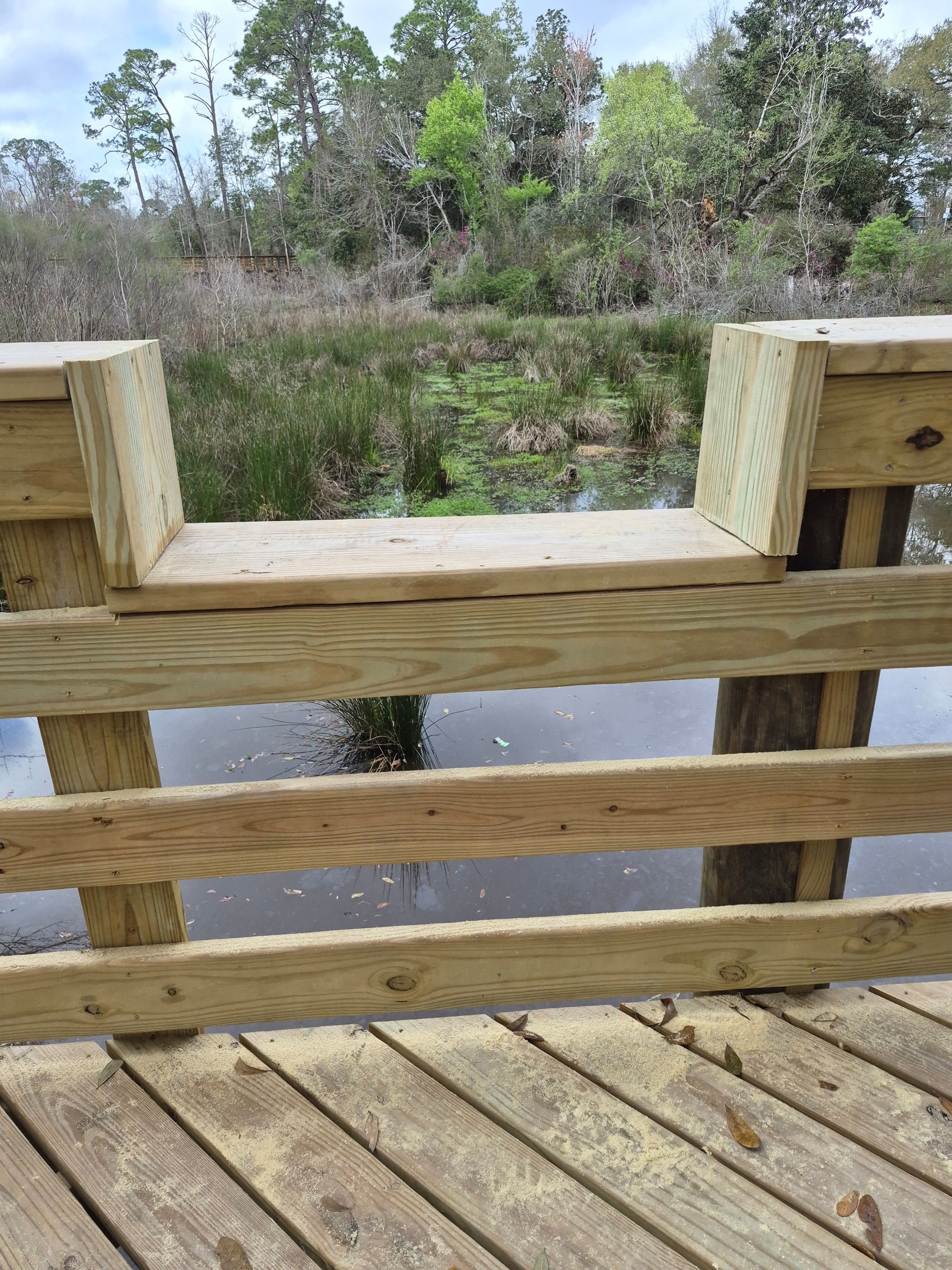 20260305_overlook ADA cutout-