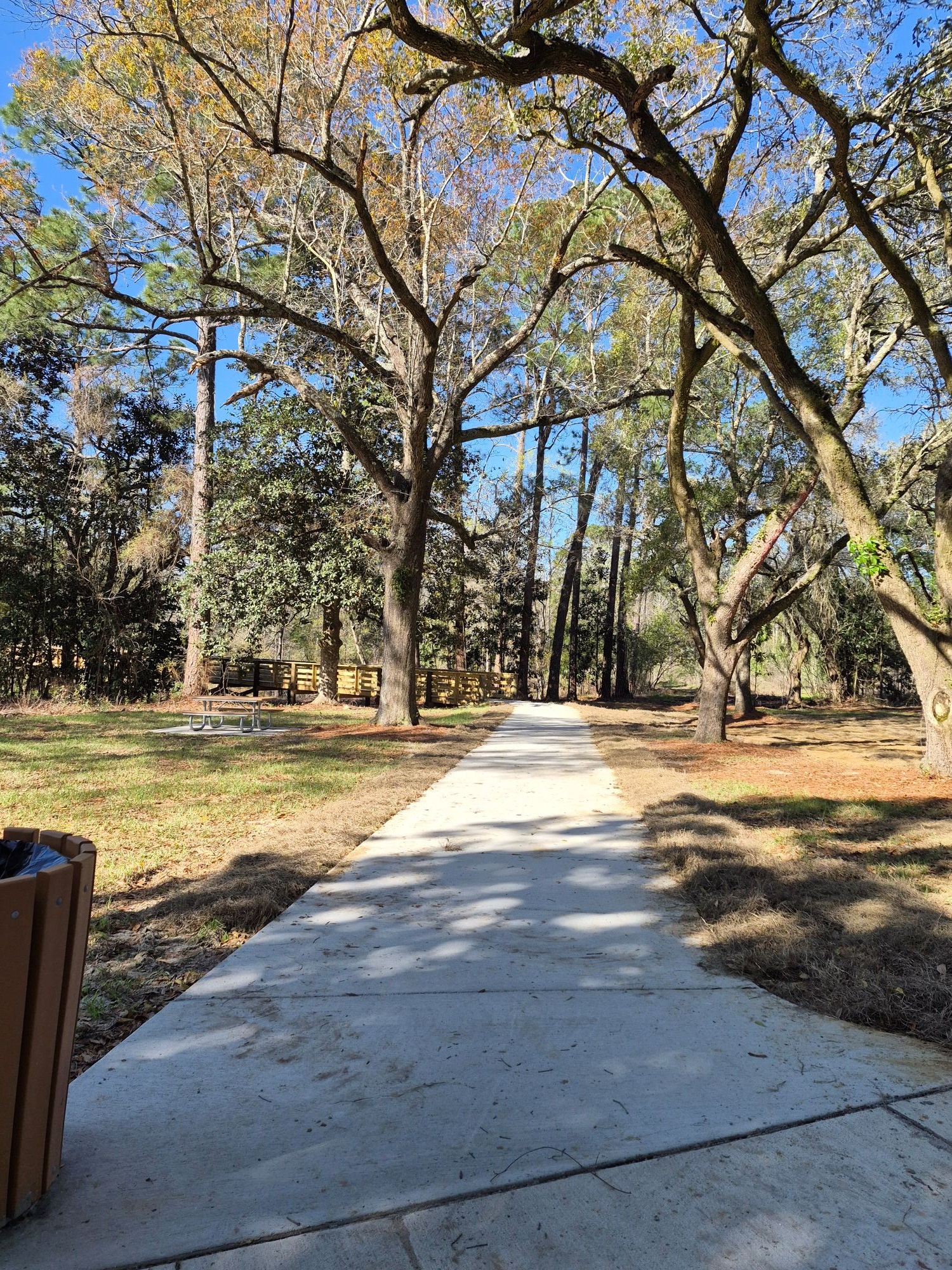 20260313_path to N boardwalk-