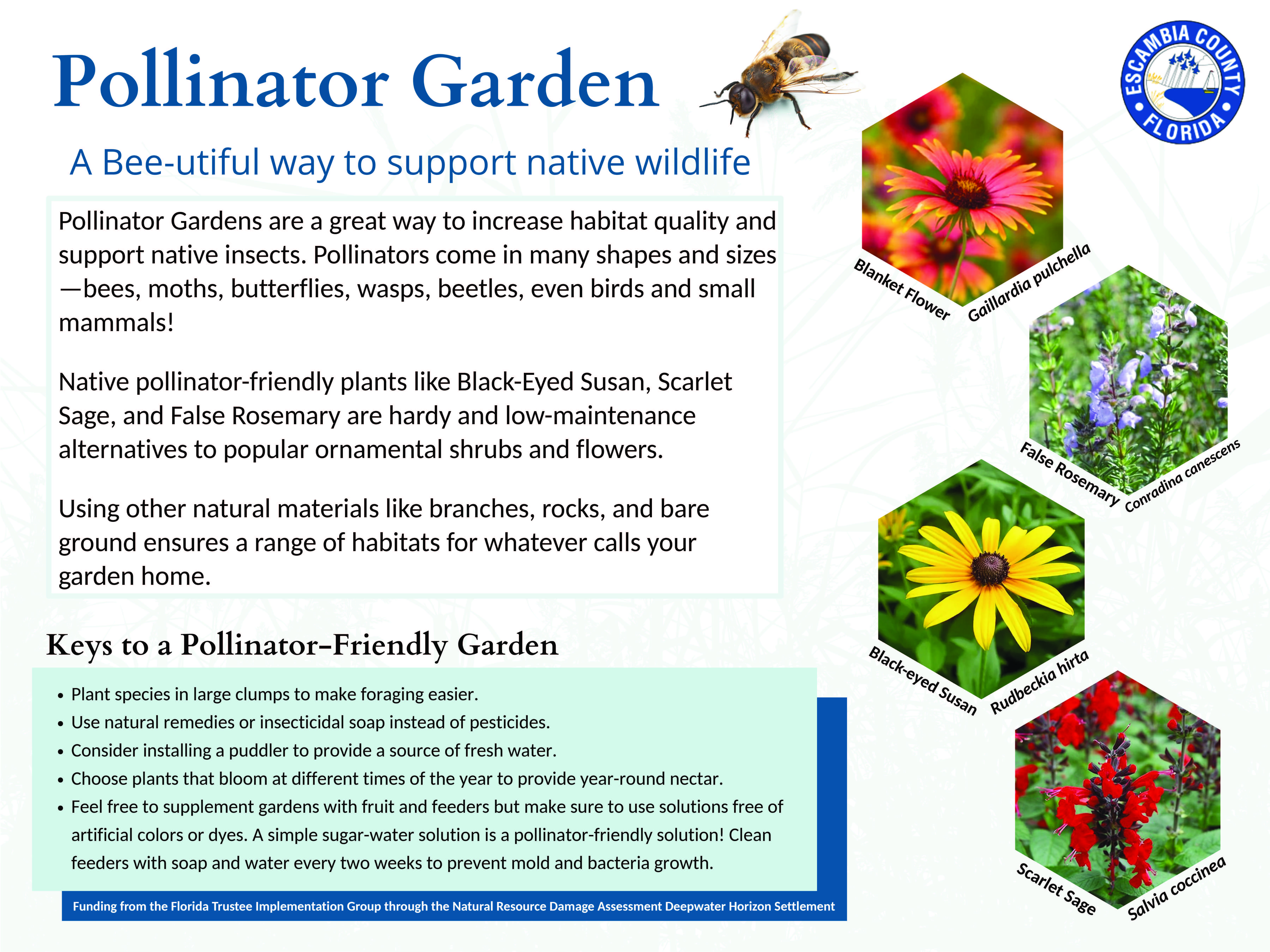 CCHW Pollinator Garden Sign