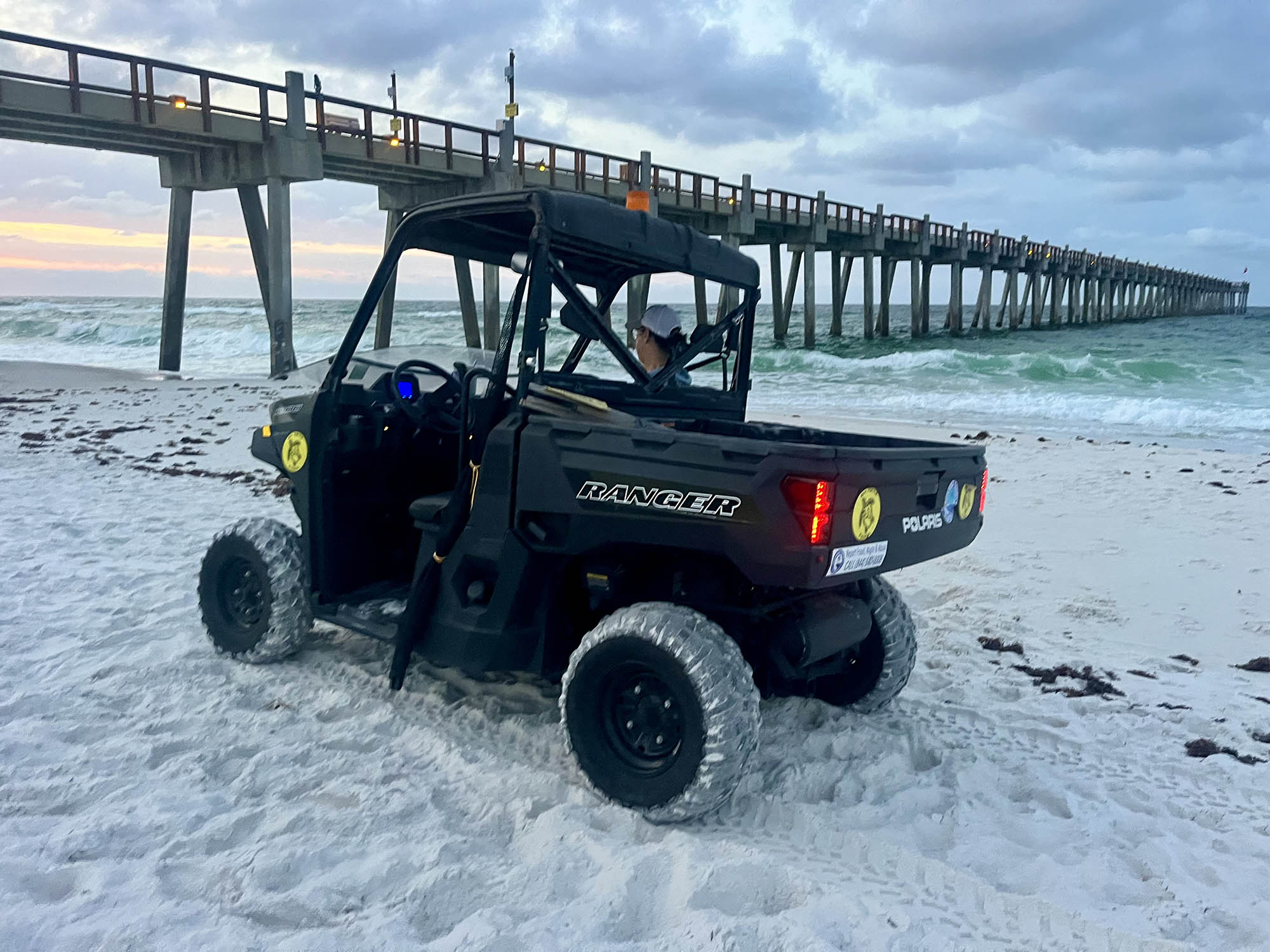 Sea Turtle Season 2024 Sea turtle volunteer patrols the beach