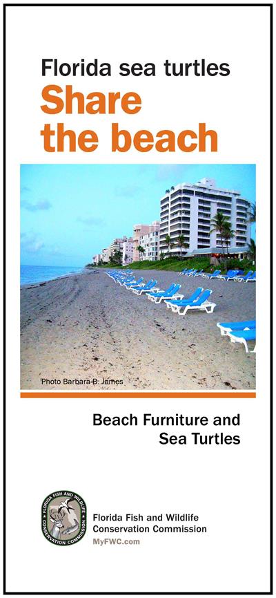 Share the Beach: Furniture Brochure