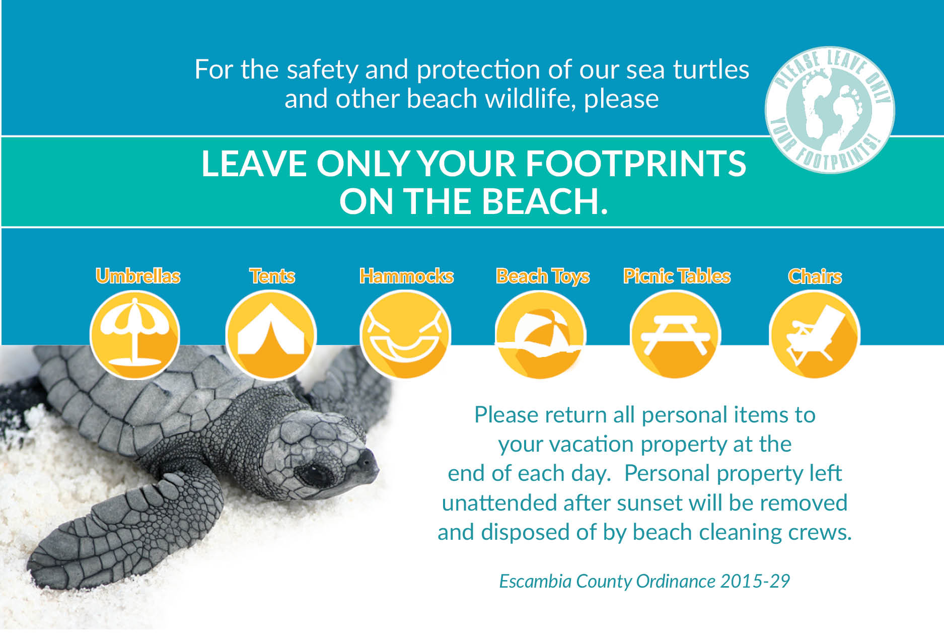 For the safety and protection of our sea turtles and other beach wildlife, please leave only your footprints on the beach.
