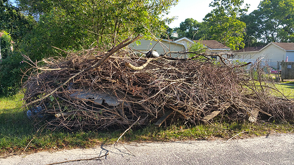 Brownsville Cleanup 4 Brownsville Cleanup 4