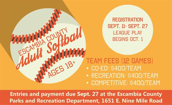 Adult softball flyer 2019 Adult softball flyer 2019