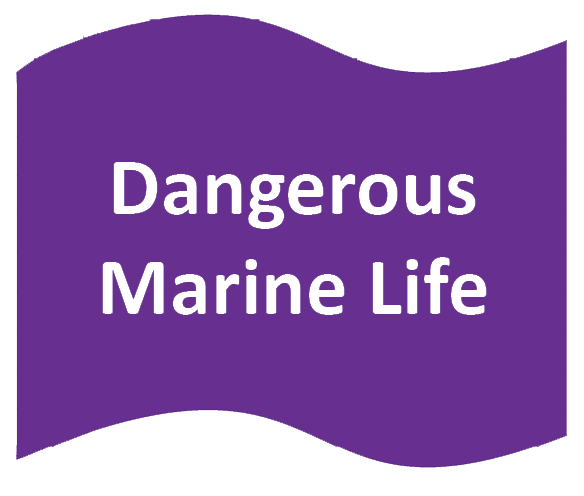 Purple Flag