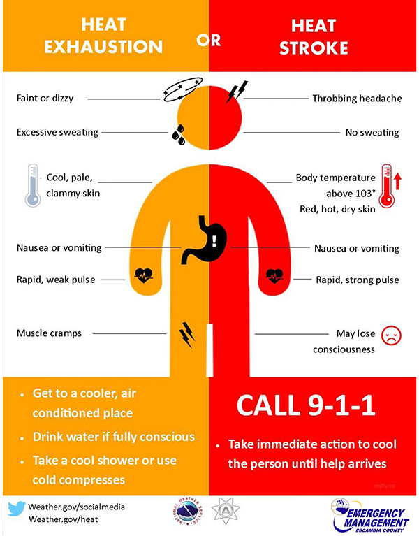 An infographic showing the symptoms of heat stroke and heat exhaustion.
