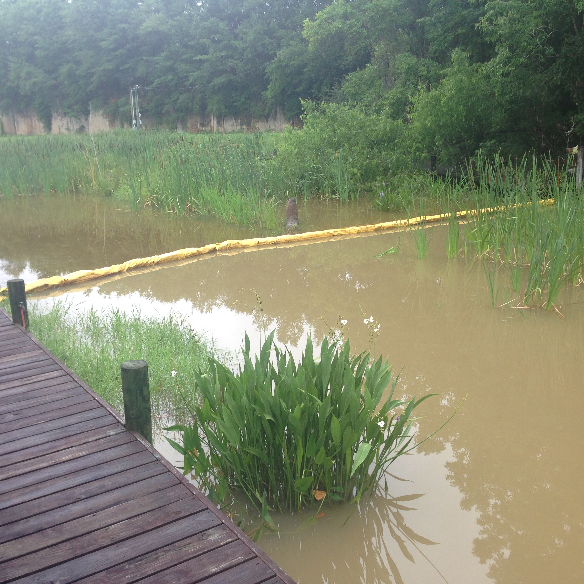 Installed Turbidity Barrier 2016-06-06 (1)