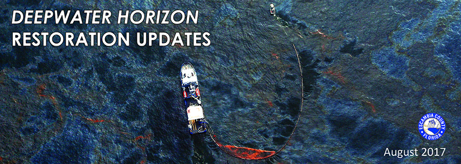 August 2017 RESTORE Update Header