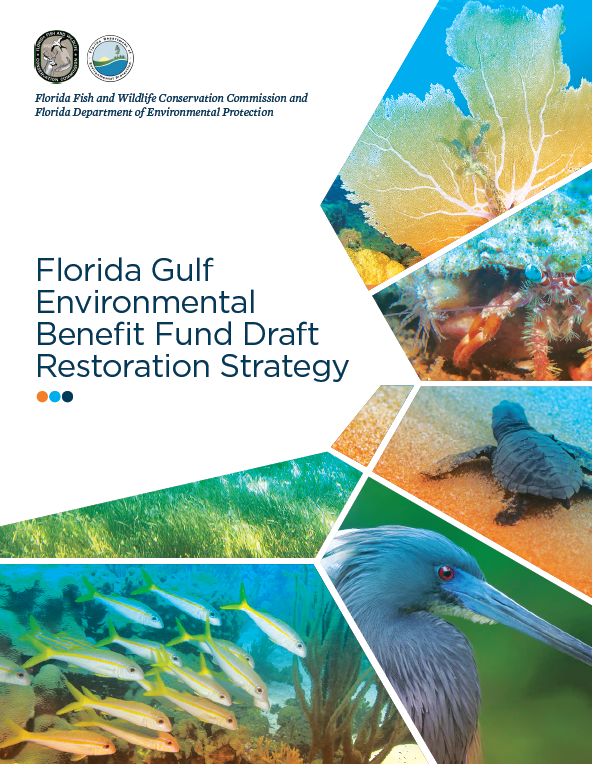 Florida Gulf Environmental Benefit Fund Strategy
