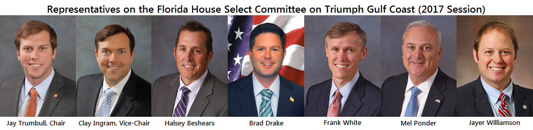Florida House Select Committee on Triumph Gulf Coast (2017 Session)